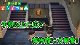 【あつ森】予想以上に広い博物館に大興奮！