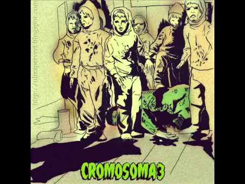 Cromosoma 3-Razas de Noche