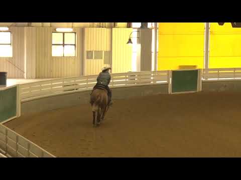 180728 Terri Taffer on FS Lightn Up Gunner Rookie