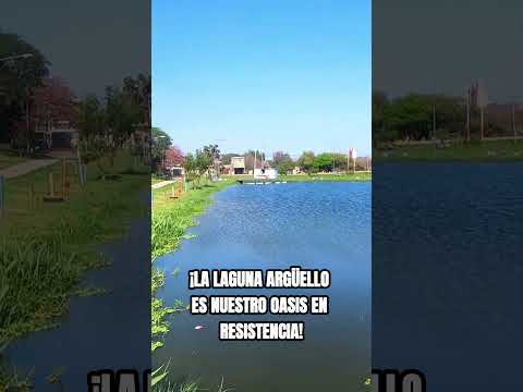 Un oasis en plena ciudad 👀