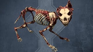 Skyrim Anniversary Edition - New Bone Wolf Enemy Encounter