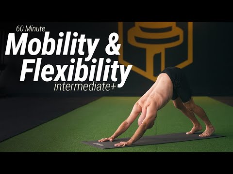 60 Minute Full Body Mobility + Stretching Workout | No Talking, Intermediate+