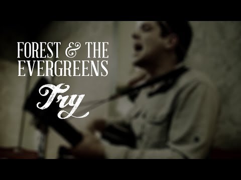Forest and The Evergreens | Try | A Cafe Del Mundo Session