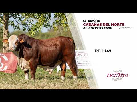 6 DON TITO RP 1149   CABAÑAS DEL NORTE 2026