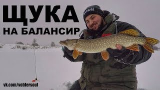 Ловля щуки на балансир зимой в коряжнике