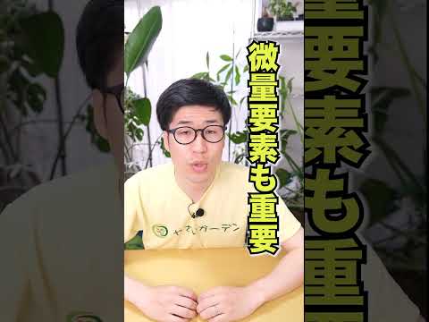 キュウリを育てるかどうか？キュウリをもっと増やすにはどうすればいいですか？  庭園