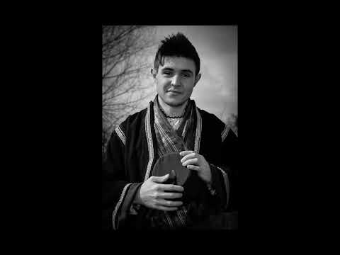 Zanin Berbić - Dvore gradi Komadina Mujo ( Arhiv radija BH )