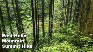 Video review of the East Hebo Summit Hike with footage of it's features and terrain.