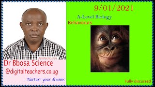 Behaviors (A- level)