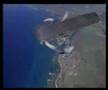 Alan Parsons - Fall free