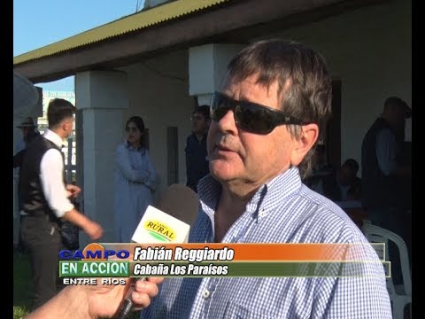 Angus Entrerriano Remate 2018 - Fabian Reggiardo