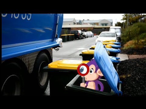 Curious Tots: Green Waste Collection & Composting | Fun educational video for toddlers & kids