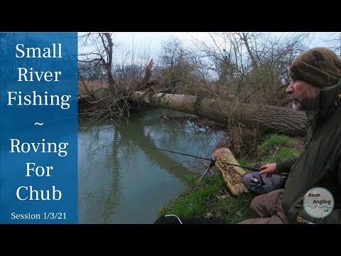 Small River Fishing - Roving For Chub - Bird Of Prey Attack! - 1/3/21 (Video 219)