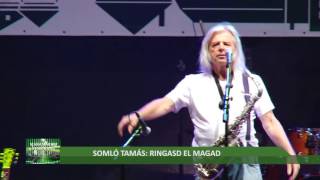 Somló Tamás: Ringasd el magad