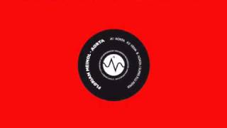 florian meindl - VENA (long mix) (herzblut rec 2008)
