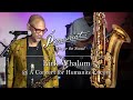 Kirk Whalum @ A Concert for Humanite Encore (P. Mauriat PMXT-66RCL)