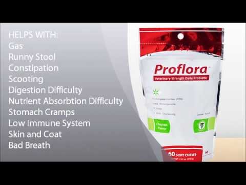 3-PACK Proflora Probiotic Soft Chews (180 Count) Video