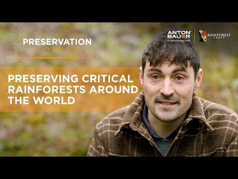 Preserving critical rainforests around the world | Dan O’Neill