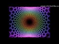 2 1 Phish Down With Disease 12 30 98 Madison Square Garden New York NY