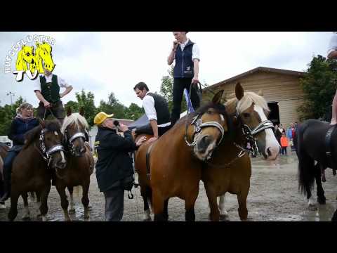 Pferd International 2014 Riem - Oberländer Quadrille "Ungarische Post"