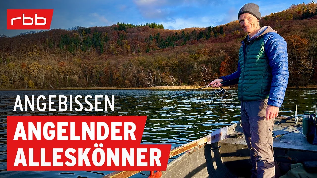 Vom friesischen Stipper zum Tausendsassa - Der Talk mit Birger Domeyer #188