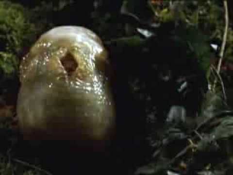 Grouchogandhi SLiTHER Trailer