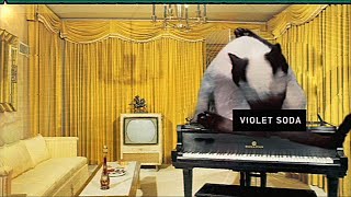 Lazy Guy Music Video