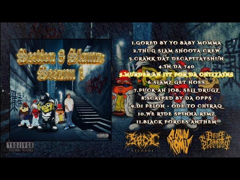 CLOWN VOMIT - SECTION 8 SLAMZ: SEEZUN 1 [FULL ALBUM STREAM] (2025) SB 🇺🇸 AS EXCLUSIVE