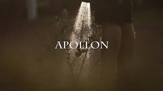 Jef Miles - Wild Light