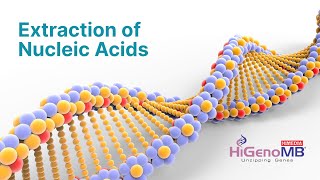 HiGenoMB Crash Course Series - Session 5: Nucleic Acid Extraction