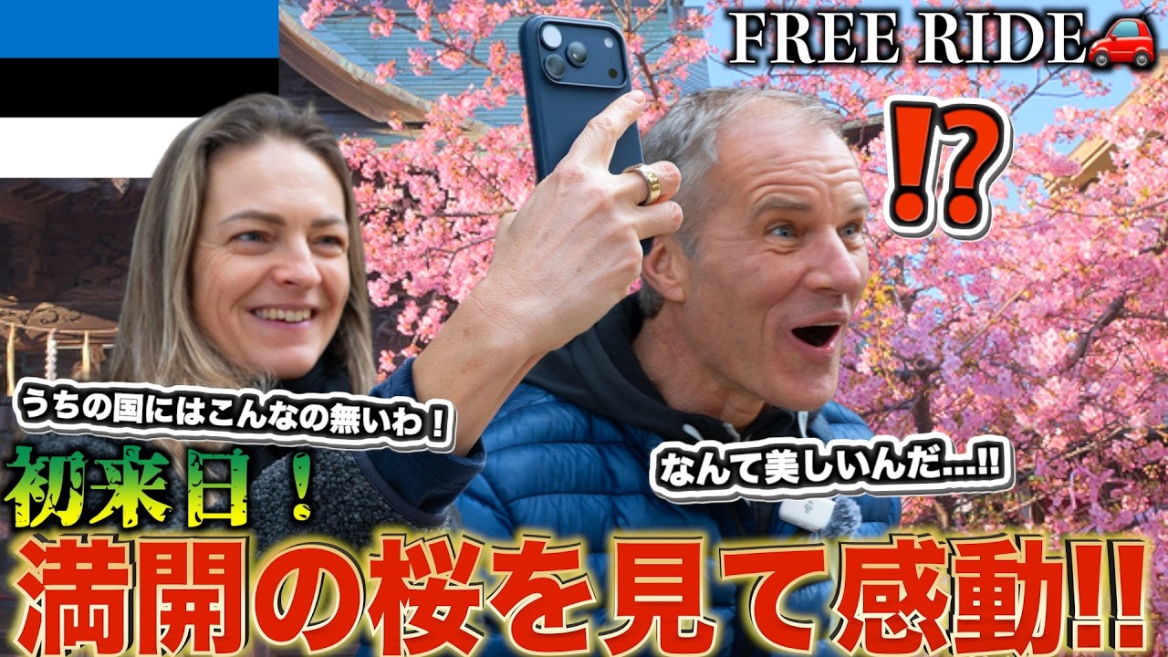 【初来日】初めて満開の桜を見たエストニア人夫婦の反応が最高だった#FREERIDE #外国人 #おもてなし