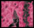 Christ Agony - Eternal Stars 