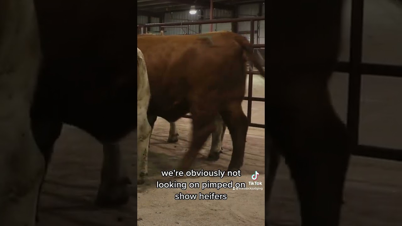 Need to understand the context of the class you are judging.