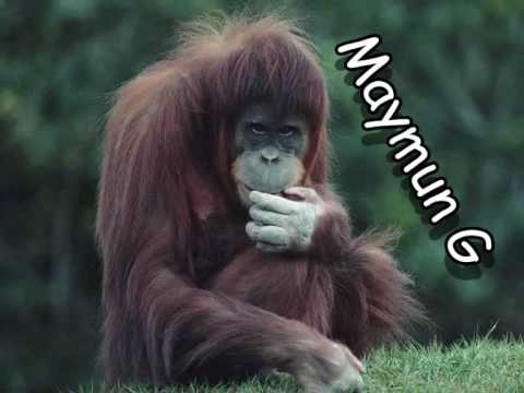 Mc Virane - Diss To Maymun G 2 (Papa G) 2010