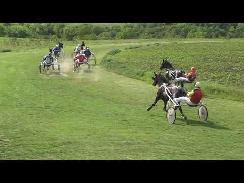 Trka "JKP Dolovi-Dolovo" 22.05.2021  Dasty S.G. - Saša Grujić