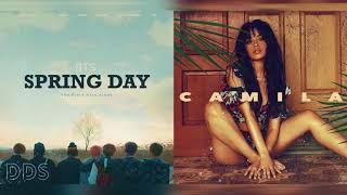 "SPRING IN HAVANA" - BTS & Camila Cabello (Mashup)