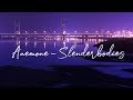 anemone - Slenderbodies (Lyrics)