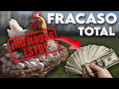 , title : 'Como GANAR DINERO con GALLINAS PONEDORAS ¿Es RENTABLE el Negocio?¿Las MEJORES Razas para HUEVOS?'