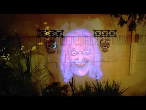 Feliz Día de las Brujas