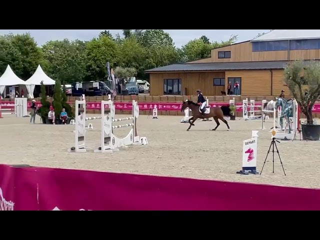 A VENDRE - Jument Oldenburger 13 ans