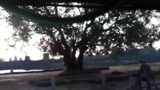 Tuk-Tuks at Angkor Wat