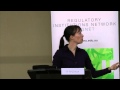 Comparing Illicit Trades In Wildlife And Drugs