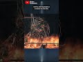 Aldia The Scholar Of The First Sin Offers A Dangerous Alternative Dark Souls 2 Analysis