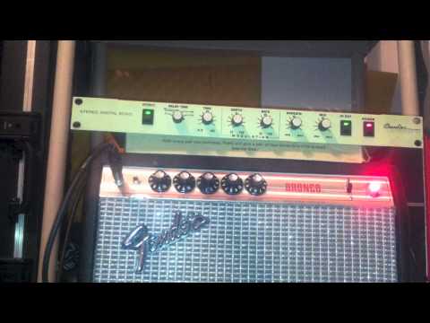 Original Chandler Electronics Stereo Digital Echo early 90s | Reverb