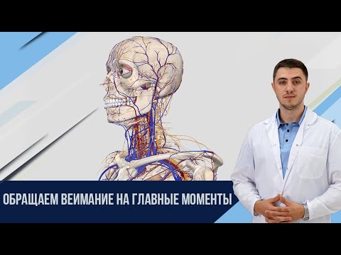 Что может болеть в шее