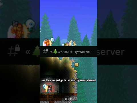 Want to join an Anarchy Server? I can help #terraria #server #fun