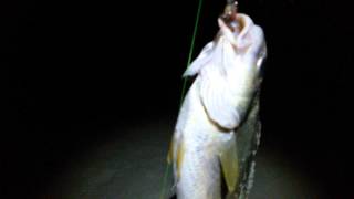 preview picture of video 'Punggol Night Fishing.'