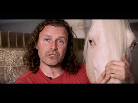 Medieval horses: What types of horse were used in medieval times?