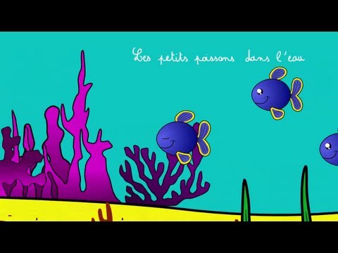 Les petits poissons dans l'eau