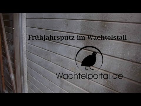 Wachtelstall kalken / Frühjahrsputz bei den Wachteln
